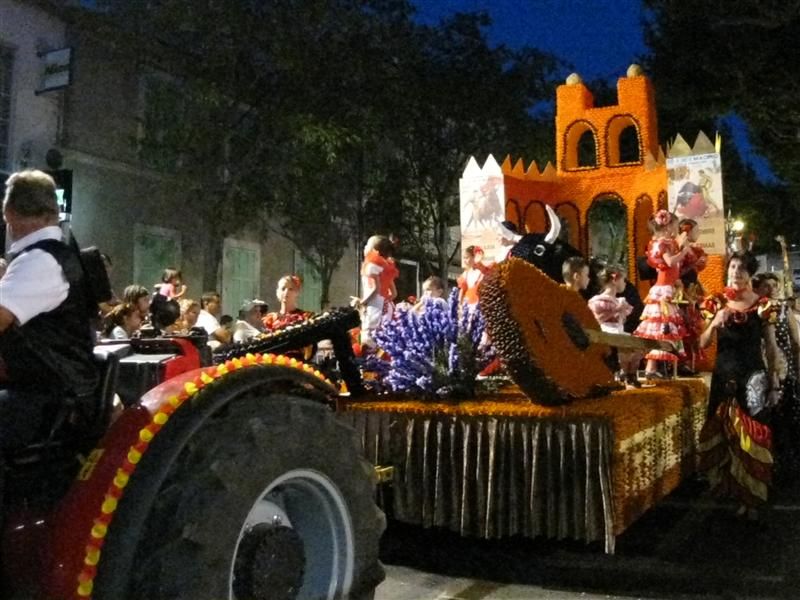 Corso de la lavande de VALREAS Corso de la lavande de VALREAS